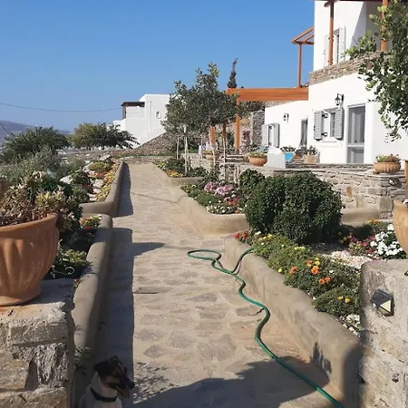 Georgia's Quality * Páros